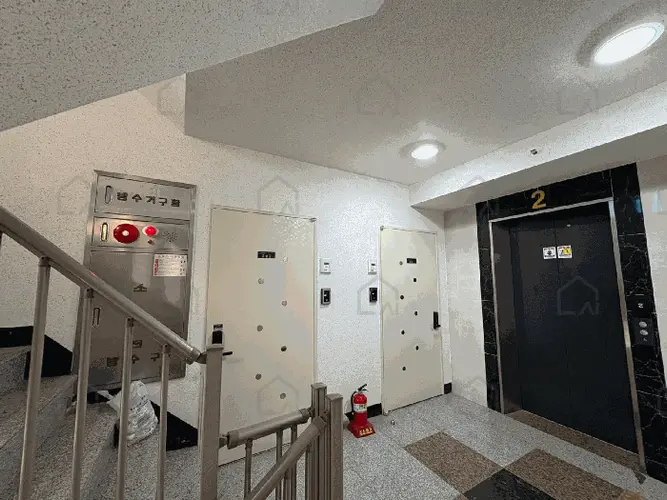관련사진
