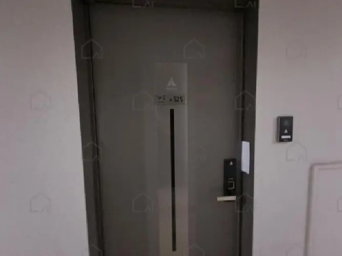관련사진