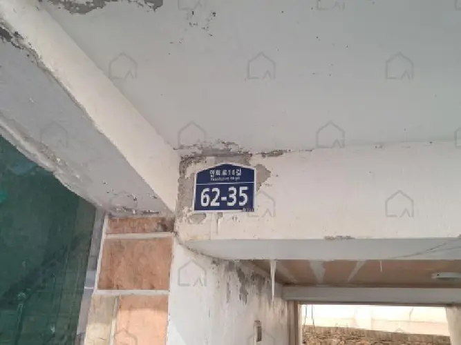 관련사진