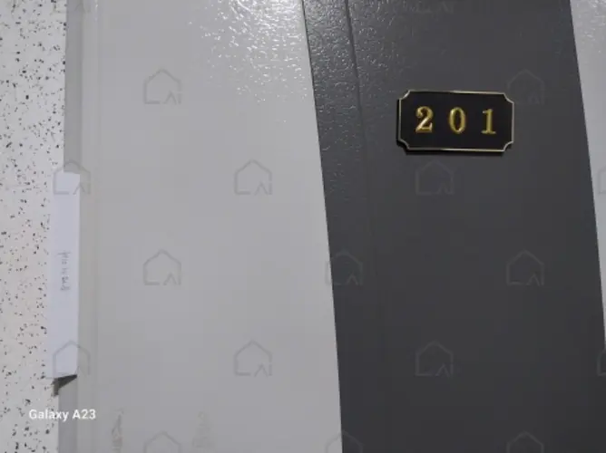 관련사진