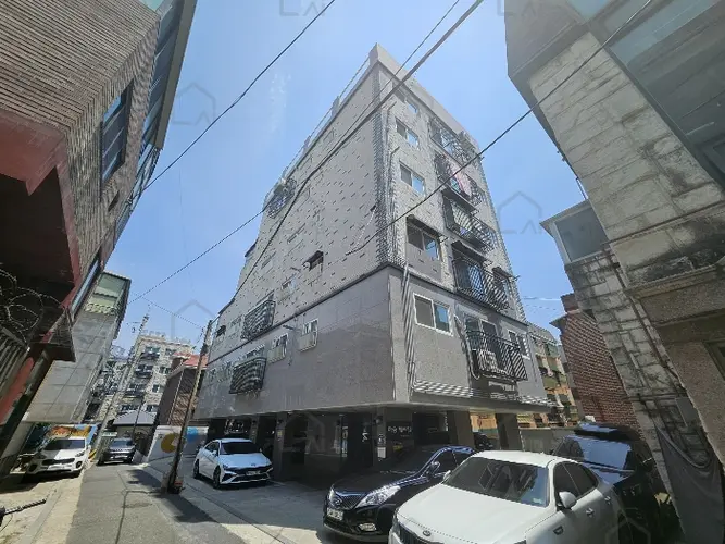 관련사진