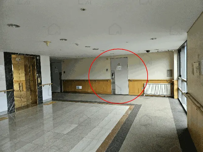 B0002152025013005186212.jpg