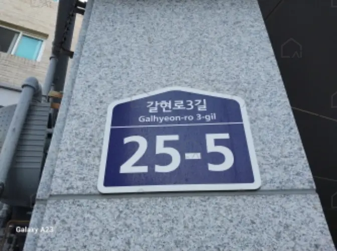 관련사진
