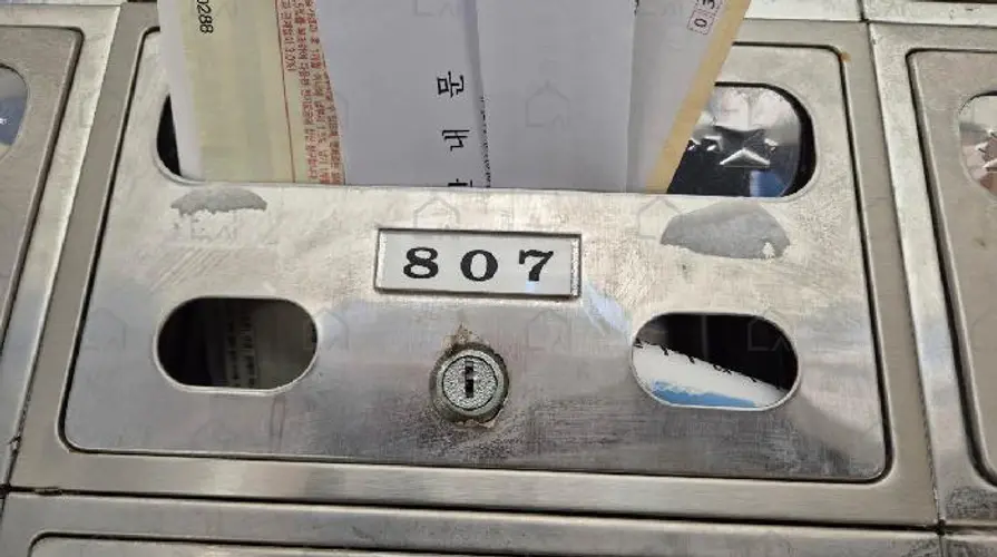 관련사진