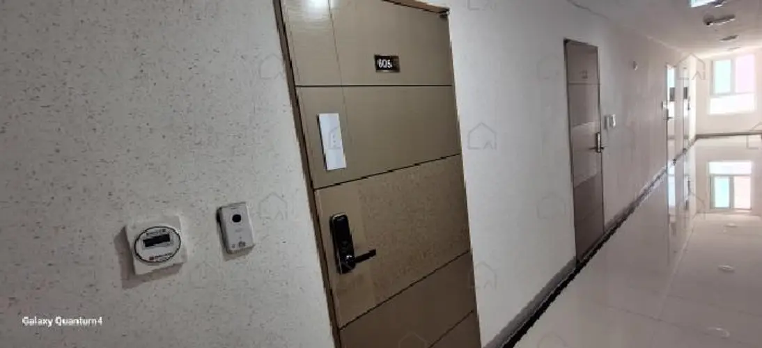 관련사진