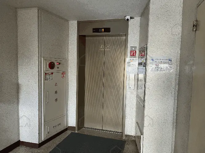 관련사진