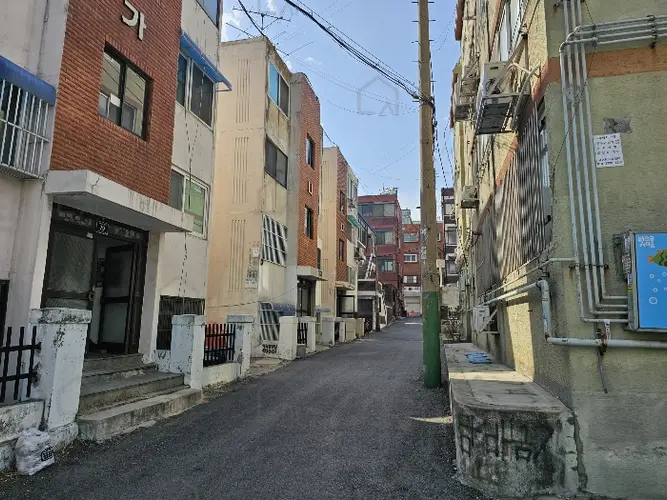 관련사진