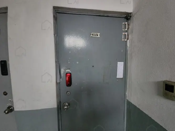 관련사진