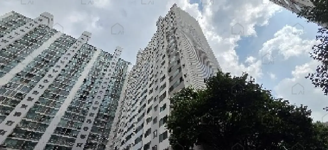 관련사진