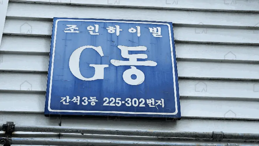 관련사진