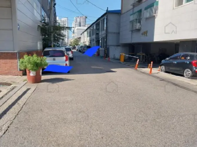 관련사진