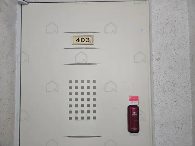 관련사진