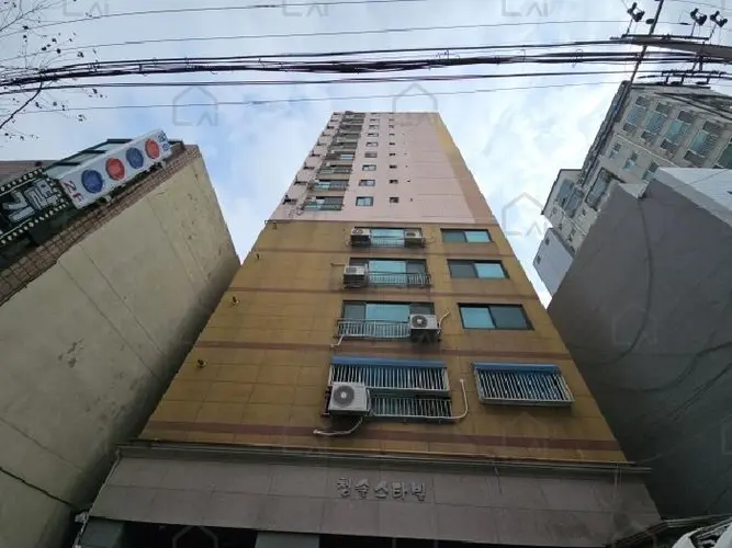 관련사진