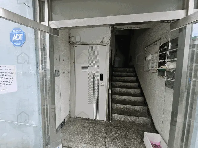 관련사진