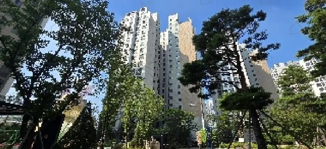 관련사진