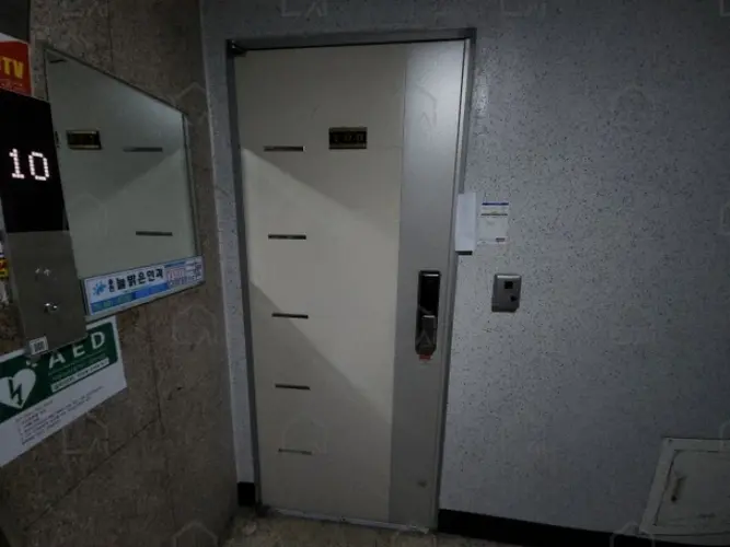 관련사진