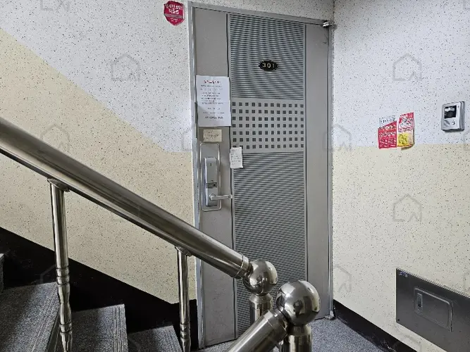 관련사진