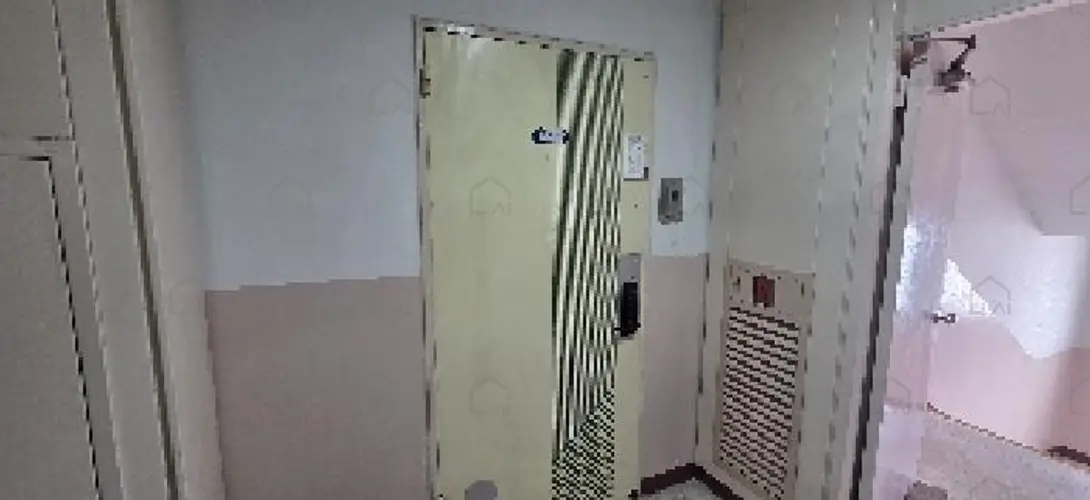 관련사진