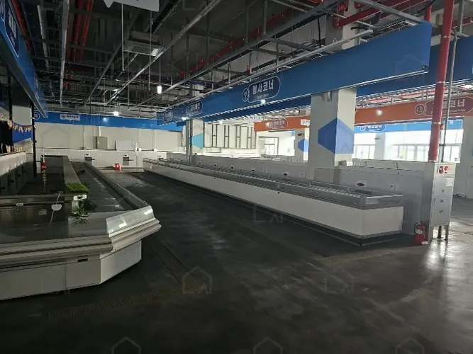 B000240202301300157784.jpg