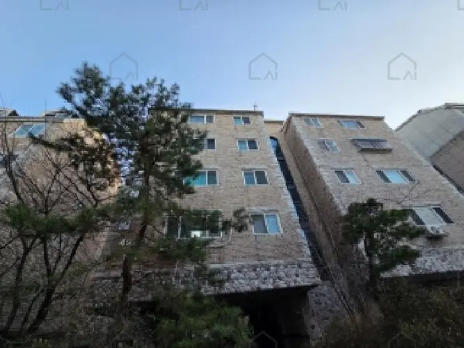 관련사진