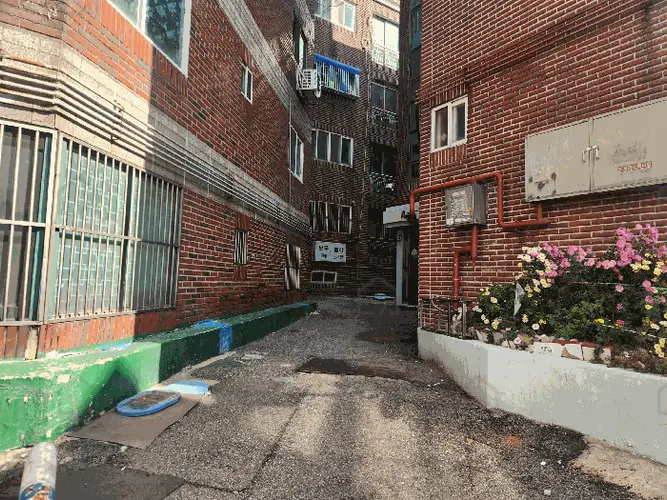 관련사진
