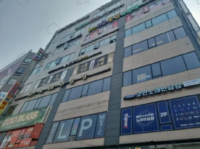 관련사진