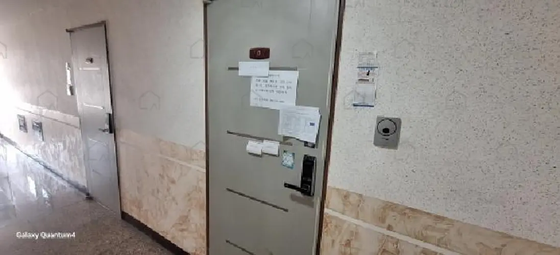 관련사진