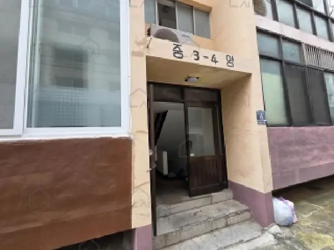관련사진