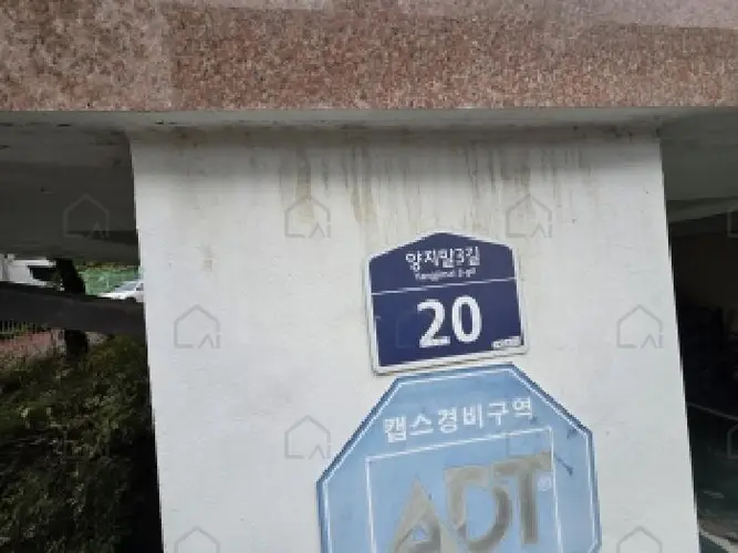 관련사진