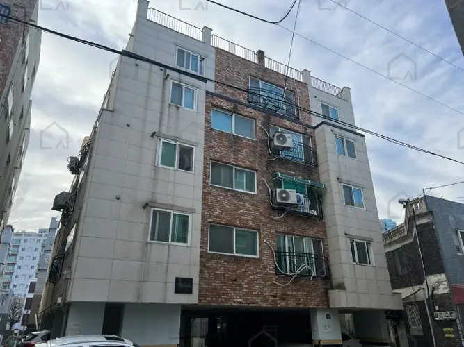 관련사진