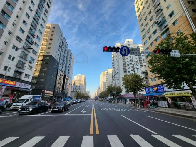 관련사진