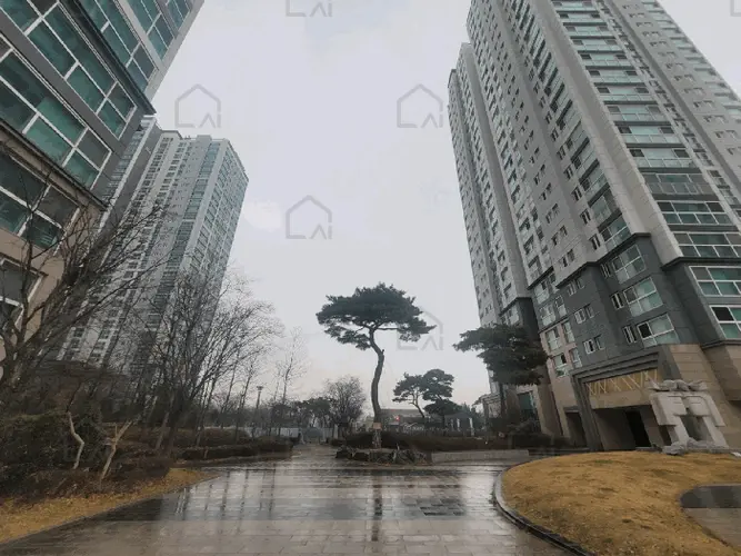 관련사진