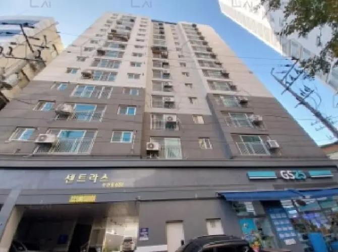 관련사진