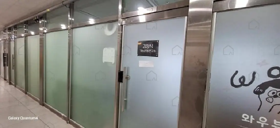 B000240202501300008724.jpg