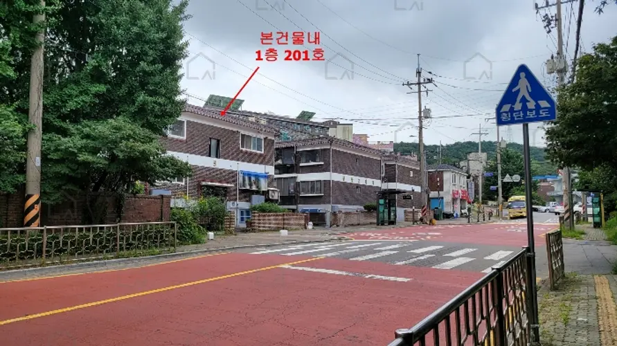 관련사진