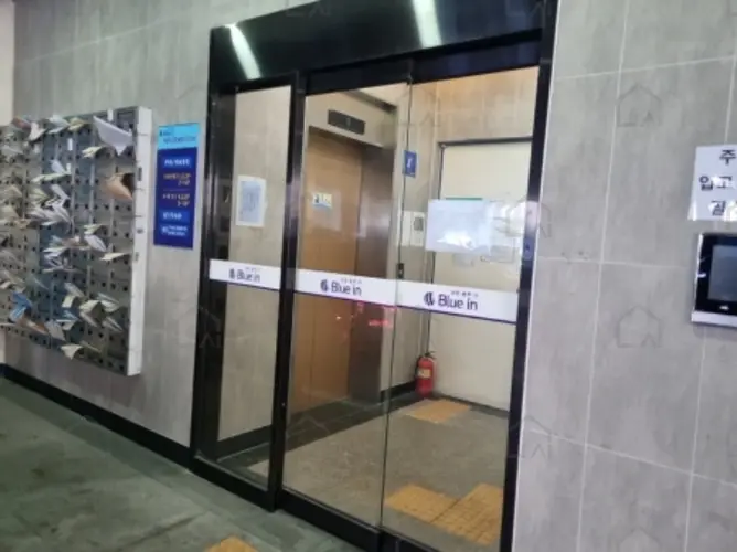 관련사진
