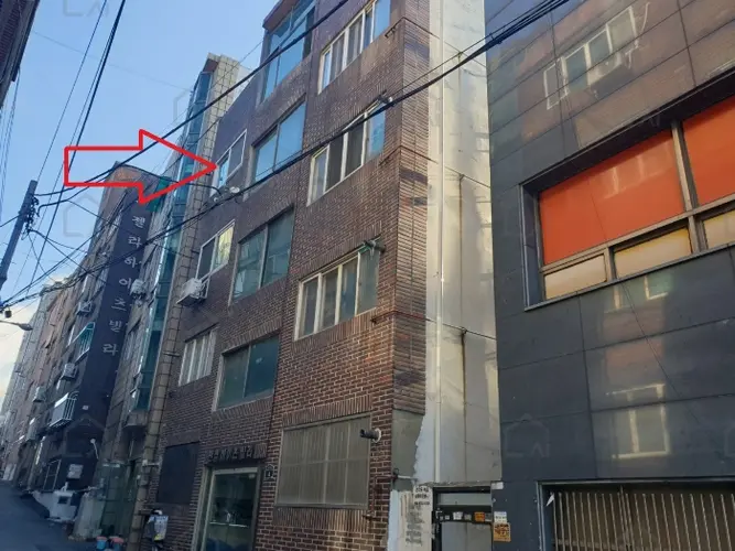 관련사진