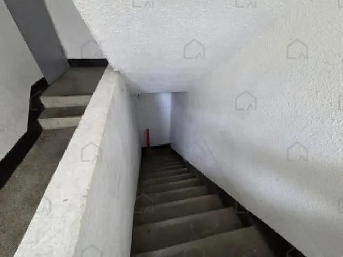 관련사진