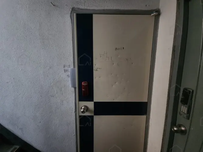 관련사진