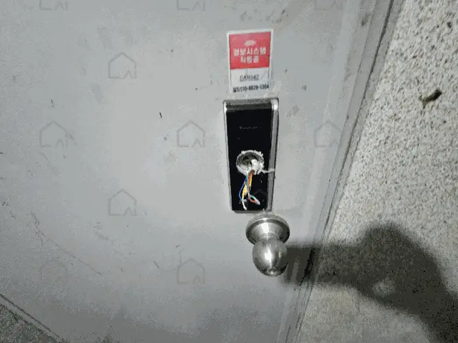관련사진