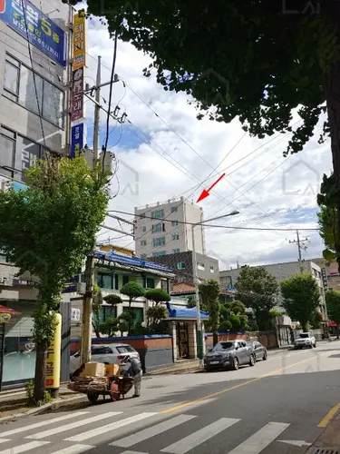 관련사진