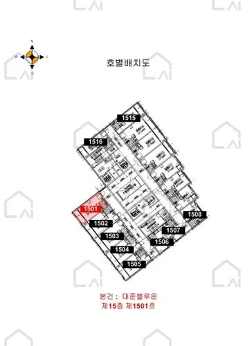 관련사진