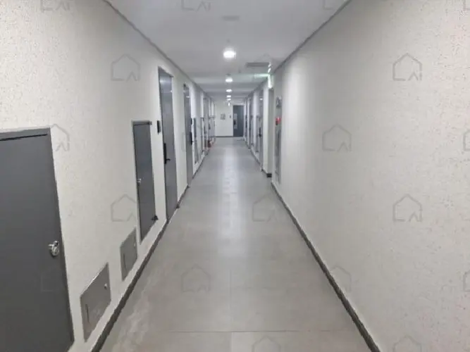관련사진