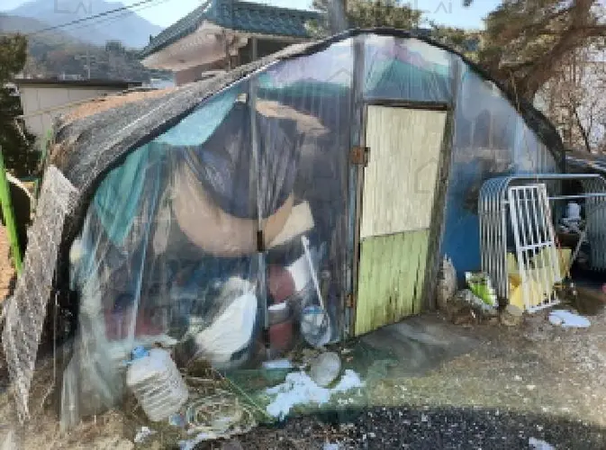 관련사진