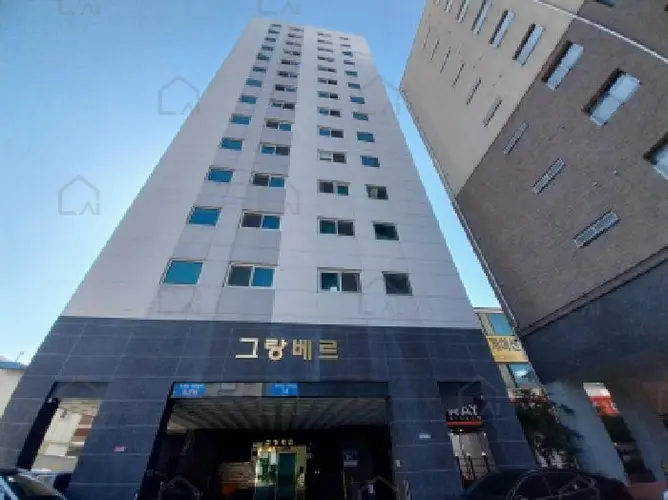 관련사진