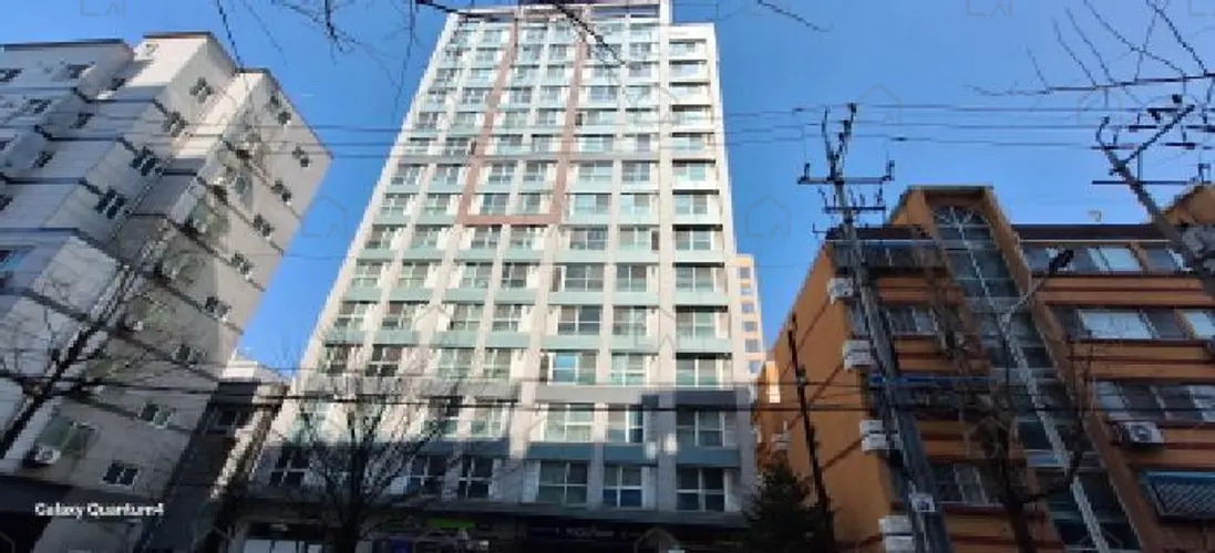 관련사진