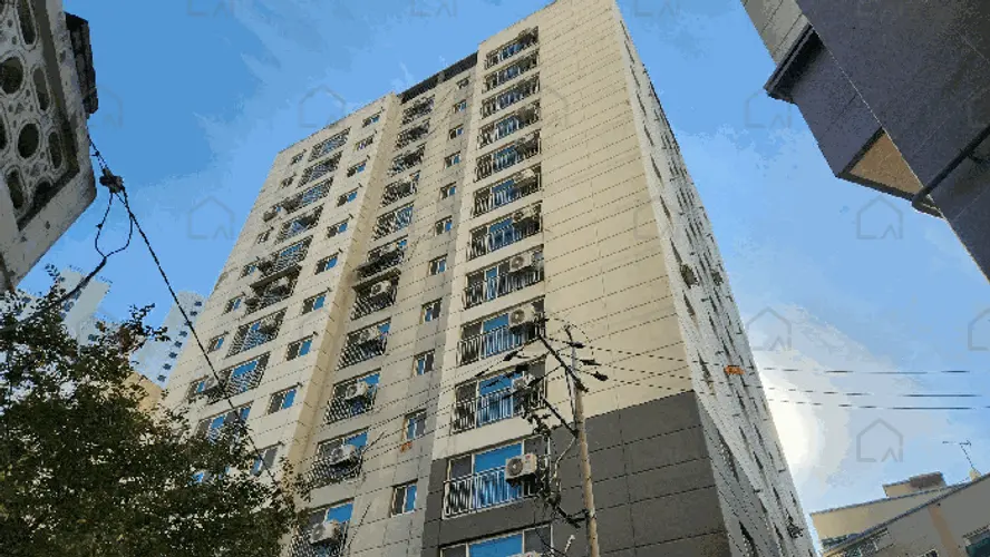 관련사진