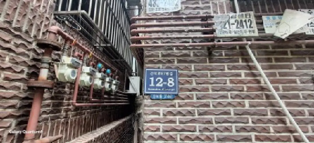 관련사진