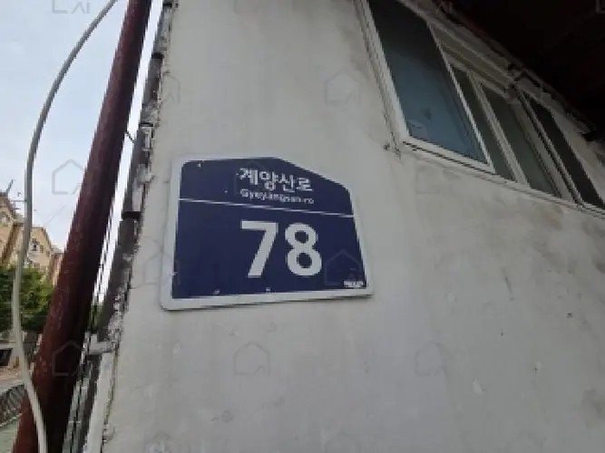 관련사진
