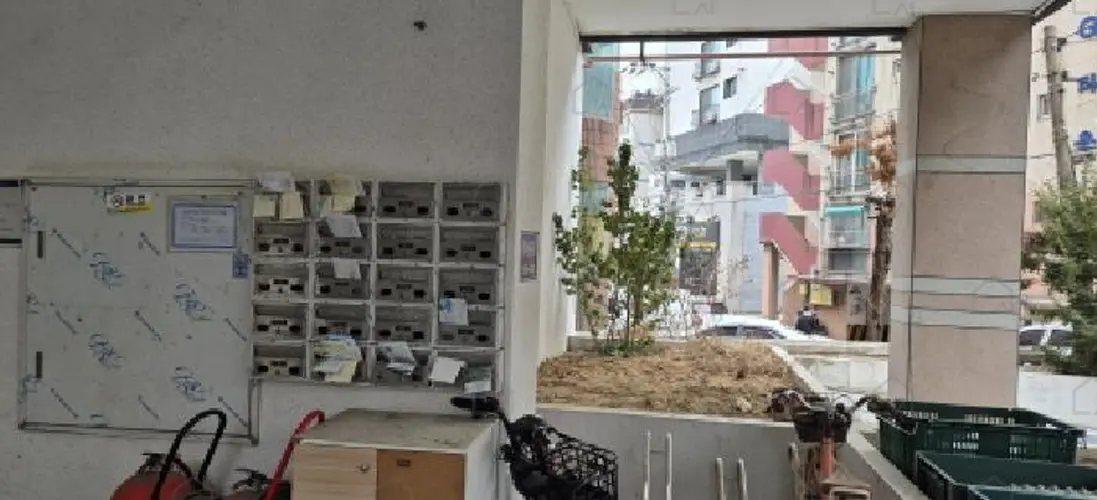 관련사진
